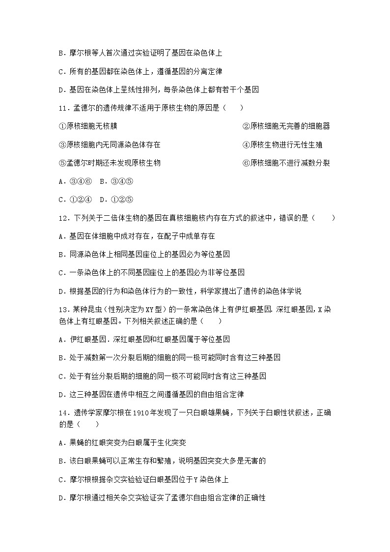 人教版高中生物必修2第2节基因在染色体上课时作业含答案203