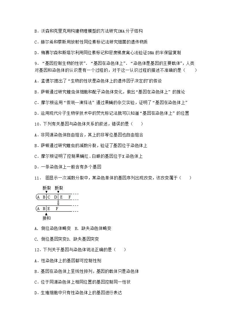 人教版高中生物必修2第2节基因在染色体上课时作业含答案303