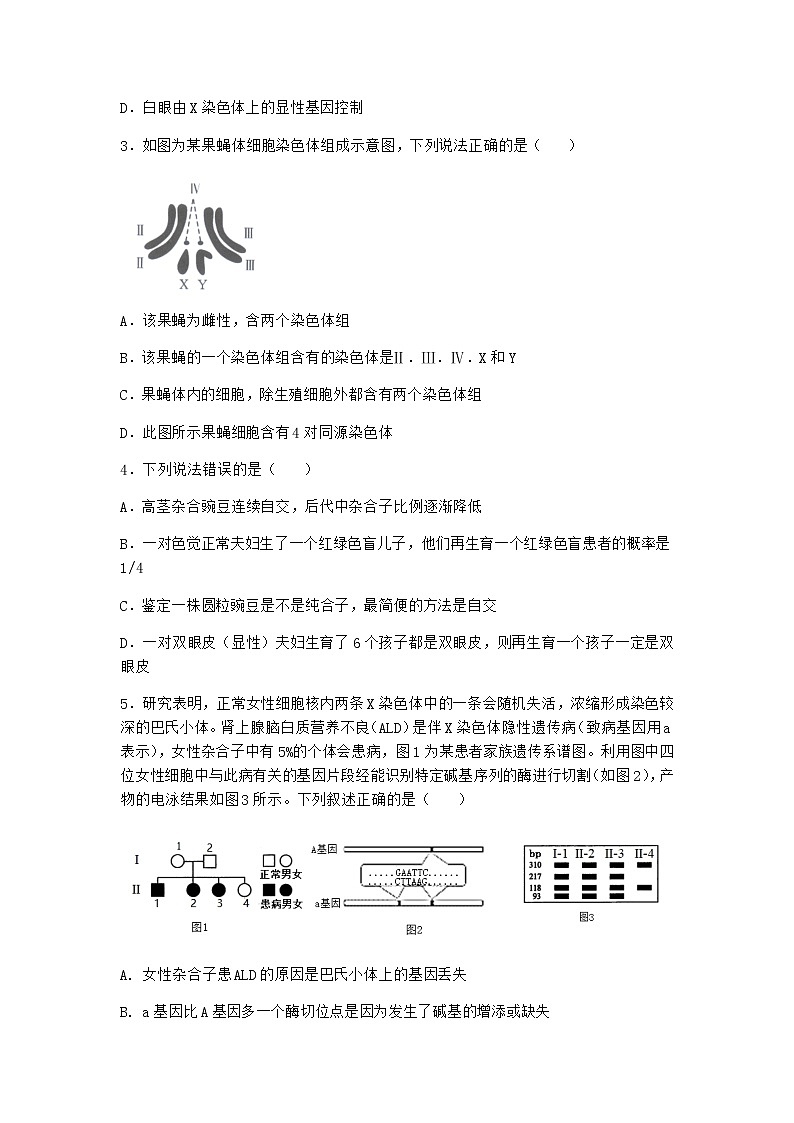 人教版高中生物必修2第3节伴性遗传课时作业含答案2第2页