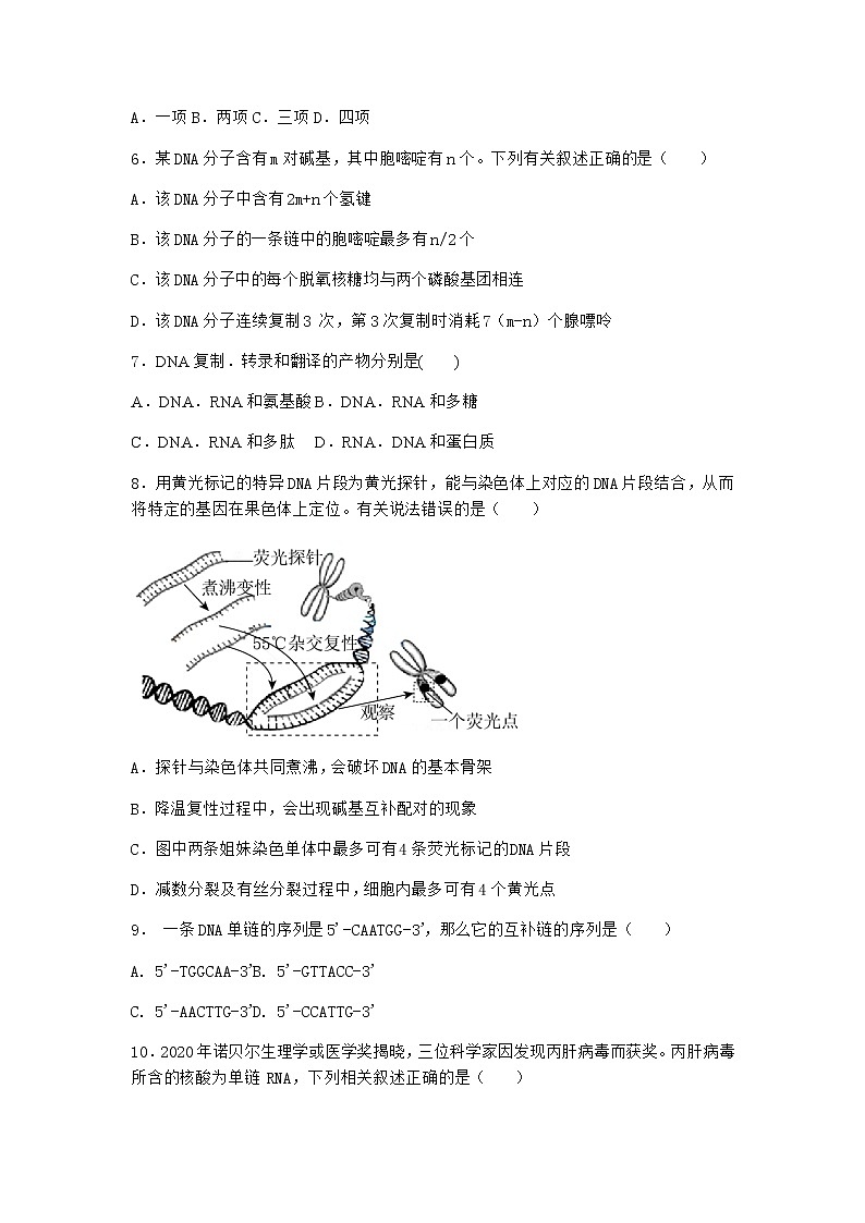 人教版高中生物必修2第2节DNA的结构课时作业含答案1第2页
