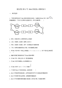 人教版 (2019)必修2《遗传与进化》第2节 DNA的结构练习题