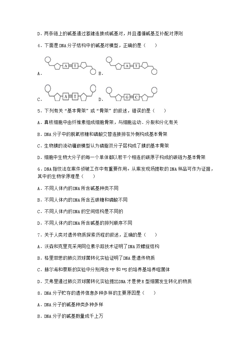 人教版高中生物必修2第2节DNA的结构课时作业含答案2第2页
