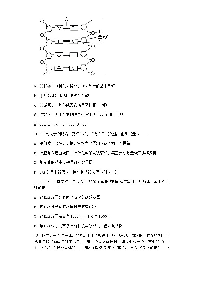 人教版高中生物必修2第2节DNA的结构课时作业含答案3第3页
