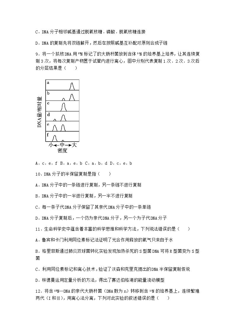 人教版高中生物必修2第3节DNA的复制课时作业含答案第3页