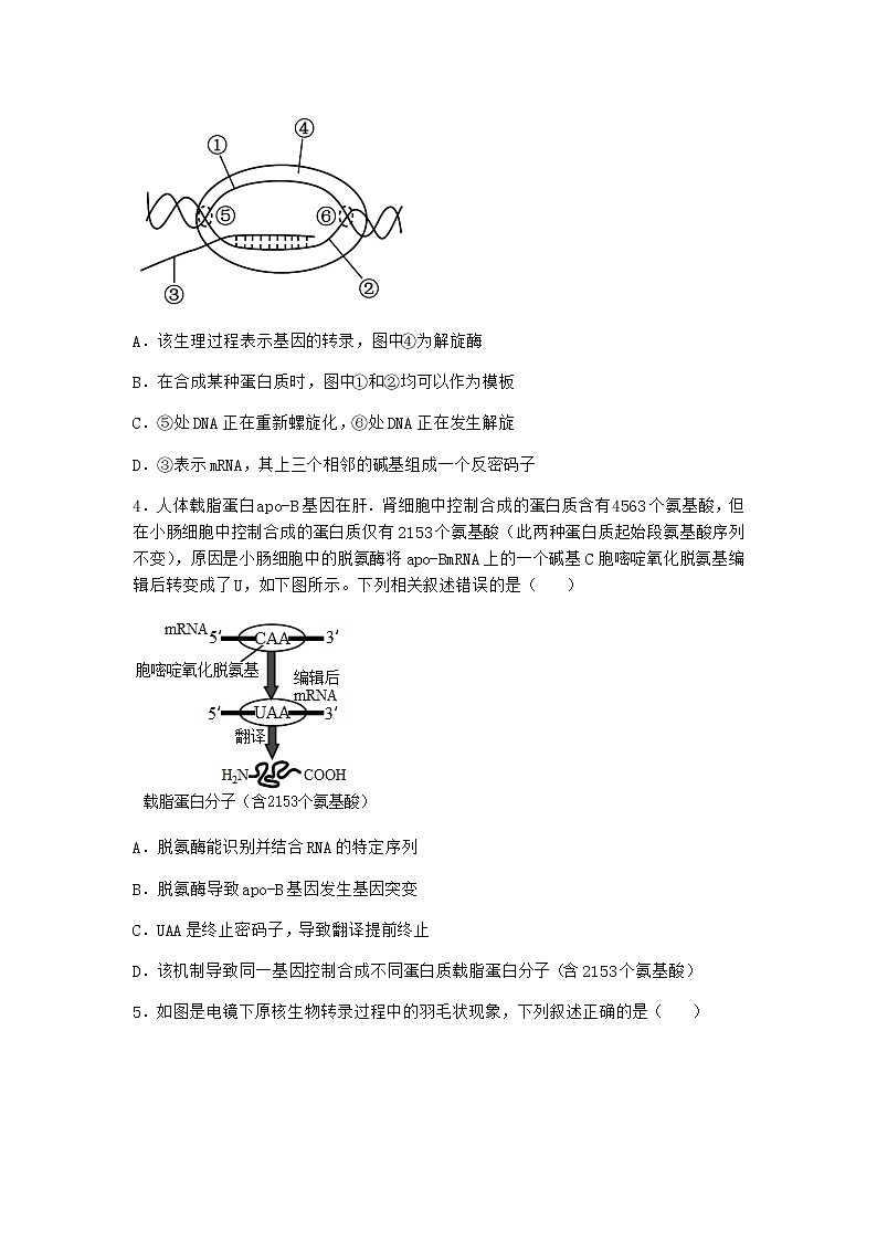 人教版高中生物必修2第1节基因指导蛋白质的合成课时作业含答案1第2页