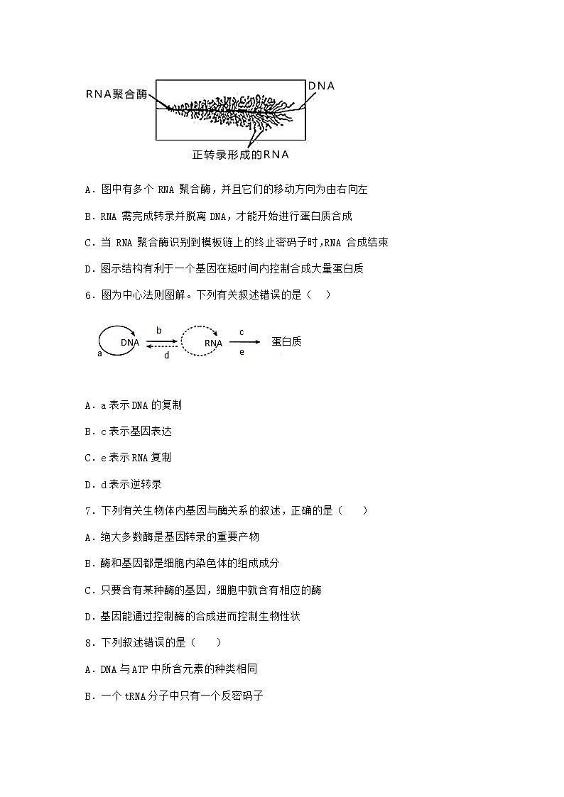 人教版高中生物必修2第1节基因指导蛋白质的合成课时作业含答案1第3页