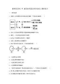 生物第4章 基因的表达第1节 基因指导蛋白质的合成当堂达标检测题