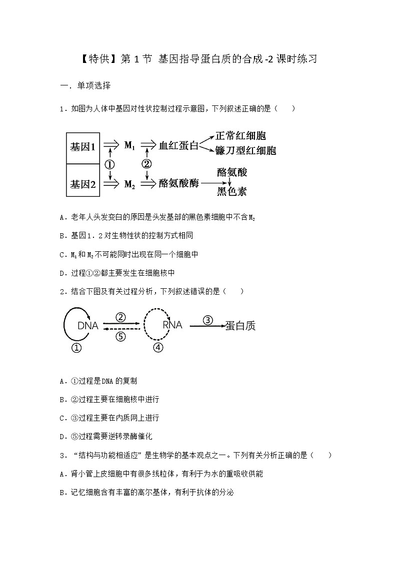 人教版高中生物必修2第1节基因指导蛋白质的合成课时作业含答案201