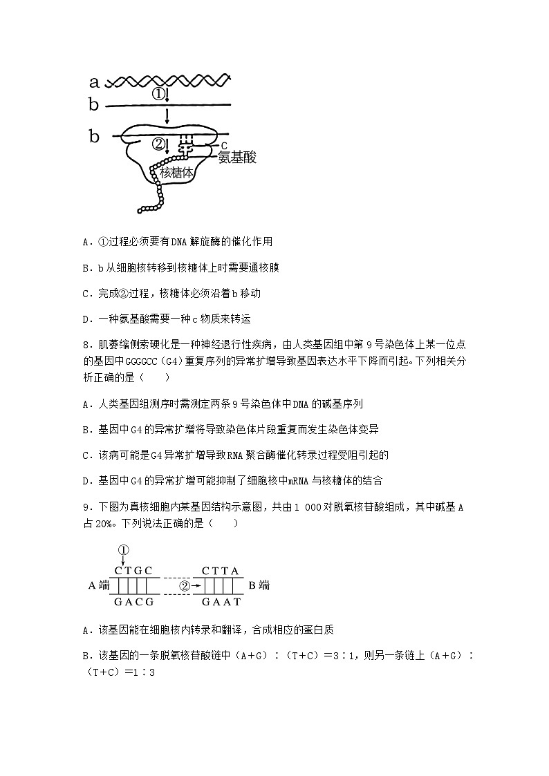 人教版高中生物必修2第1节基因指导蛋白质的合成课时作业含答案203