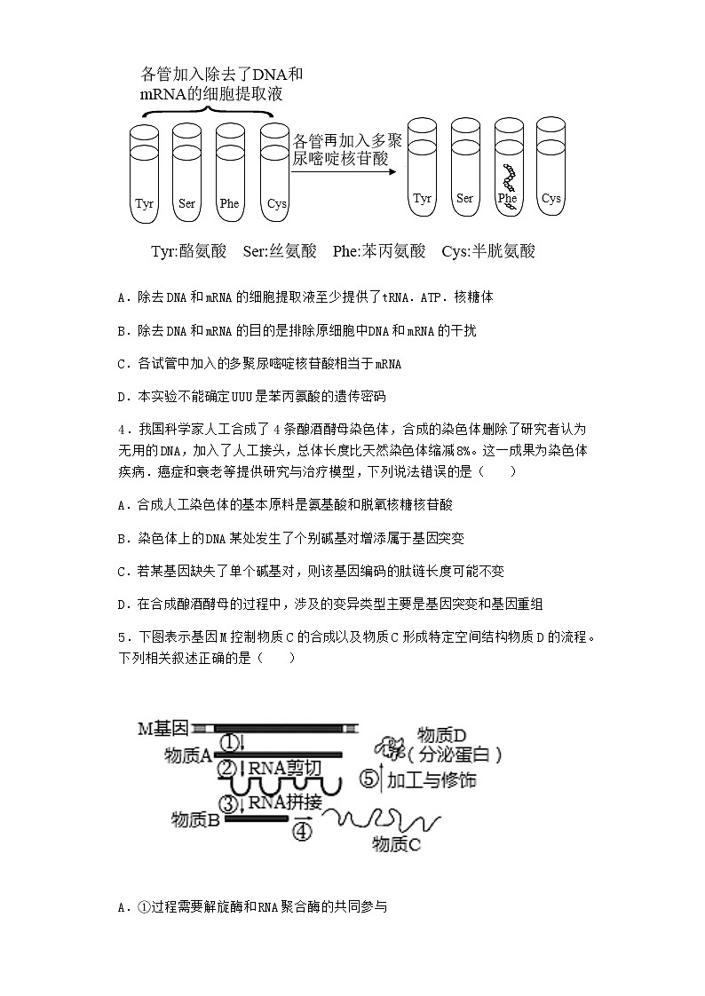 人教版高中生物必修2第1节基因指导蛋白质的合成课时作业含答案3第2页