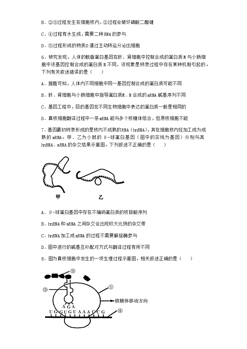 人教版高中生物必修2第1节基因指导蛋白质的合成课时作业含答案3第3页