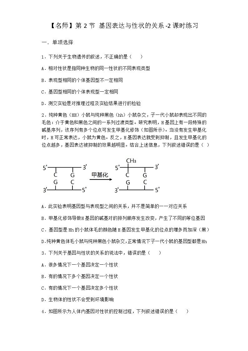 人教版高中生物必修2第2节基因表达与性状的关系课时作业含答案301