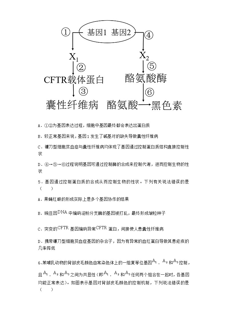 人教版高中生物必修2第2节基因表达与性状的关系课时作业含答案302