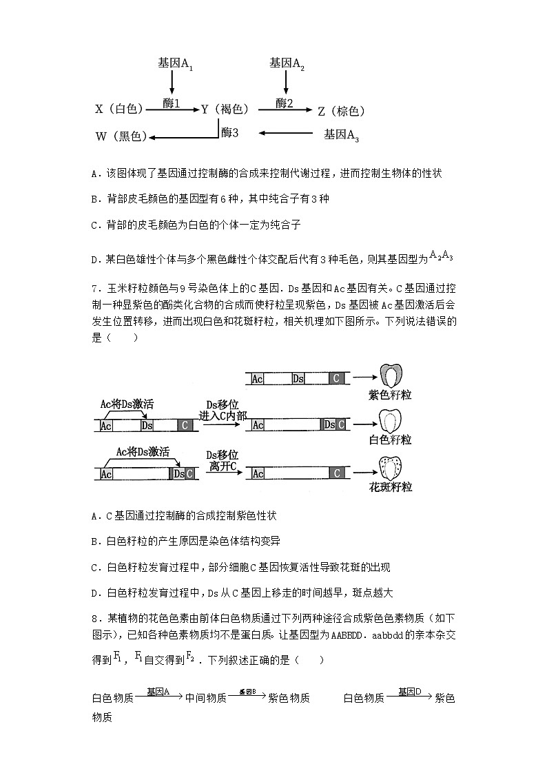 人教版高中生物必修2第2节基因表达与性状的关系课时作业含答案303