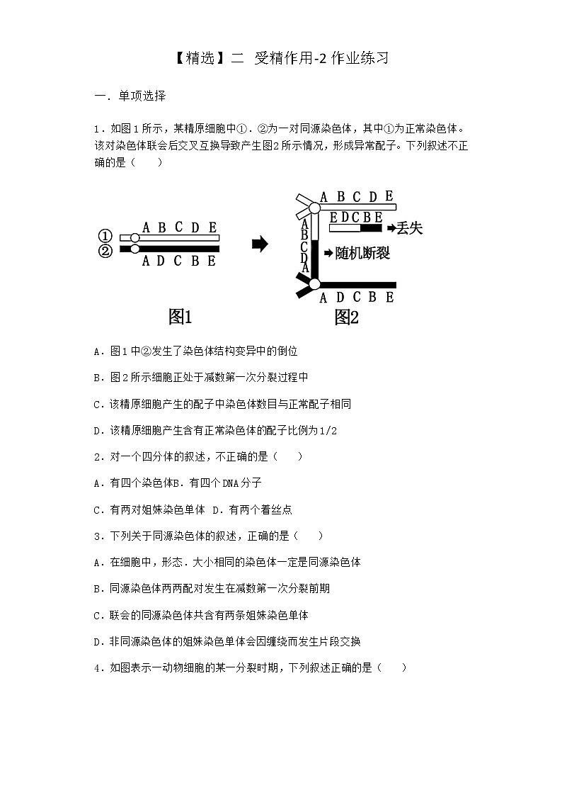 人教版高中生物必修2二受精作用作业含答案101
