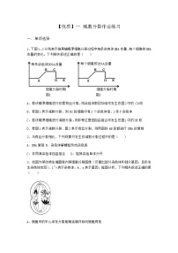 高中生物人教版 (2019)必修2《遗传与进化》一 减数分裂一课一练