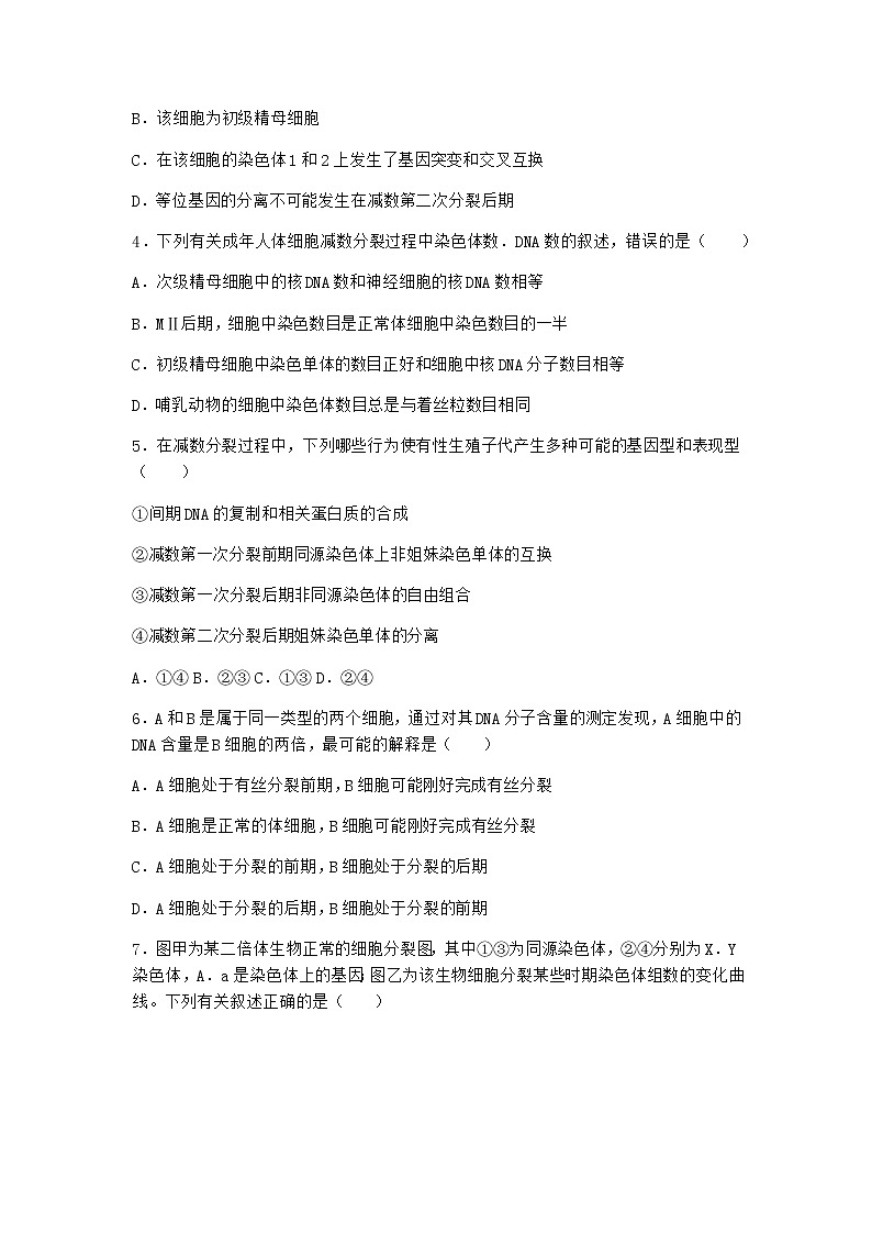 人教版高中生物必修2一减数分裂作业含答案3第2页