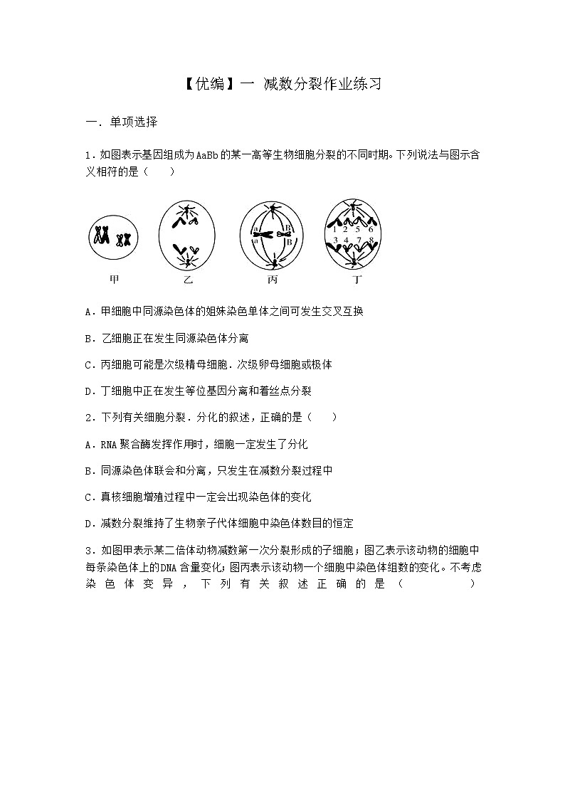 人教版高中生物必修2一减数分裂作业含答案601