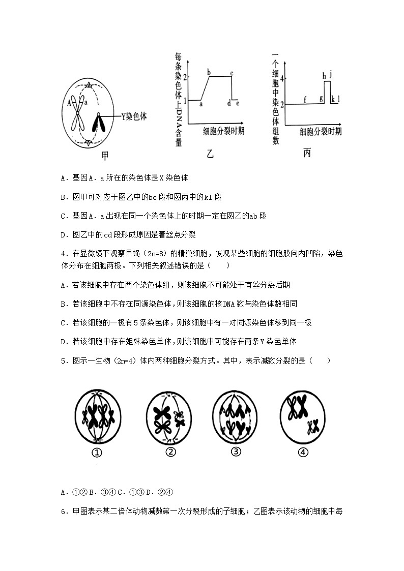 人教版高中生物必修2一减数分裂作业含答案602