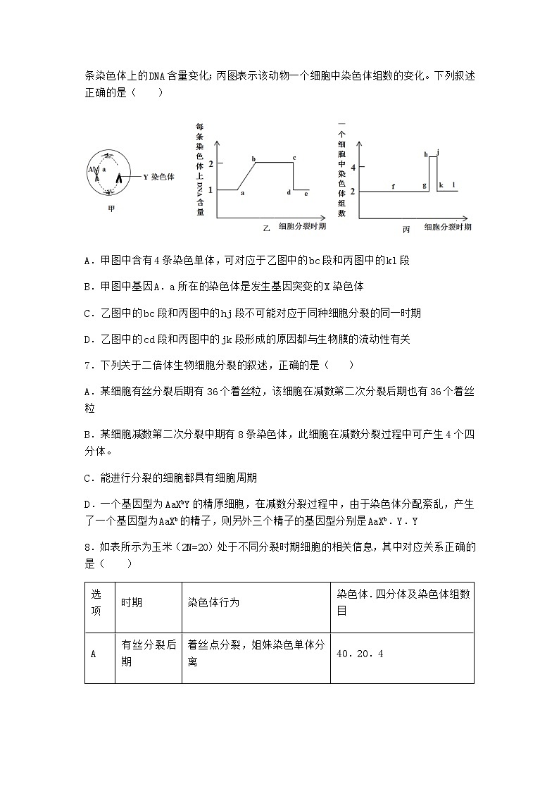 人教版高中生物必修2一减数分裂作业含答案603