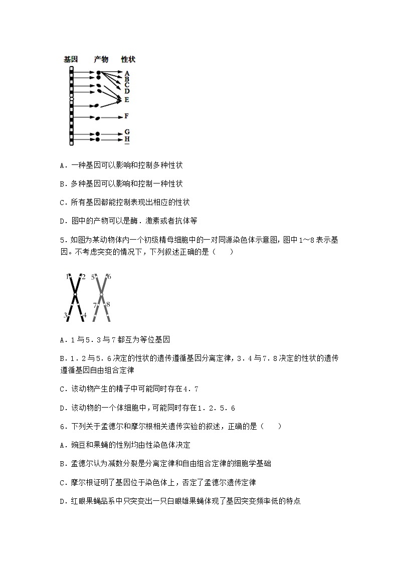 人教版高中生物必修2第2节基因在染色体上作业含答案1第2页