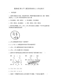 高中生物人教版 (2019)必修2《遗传与进化》第2节 基因在染色体上练习