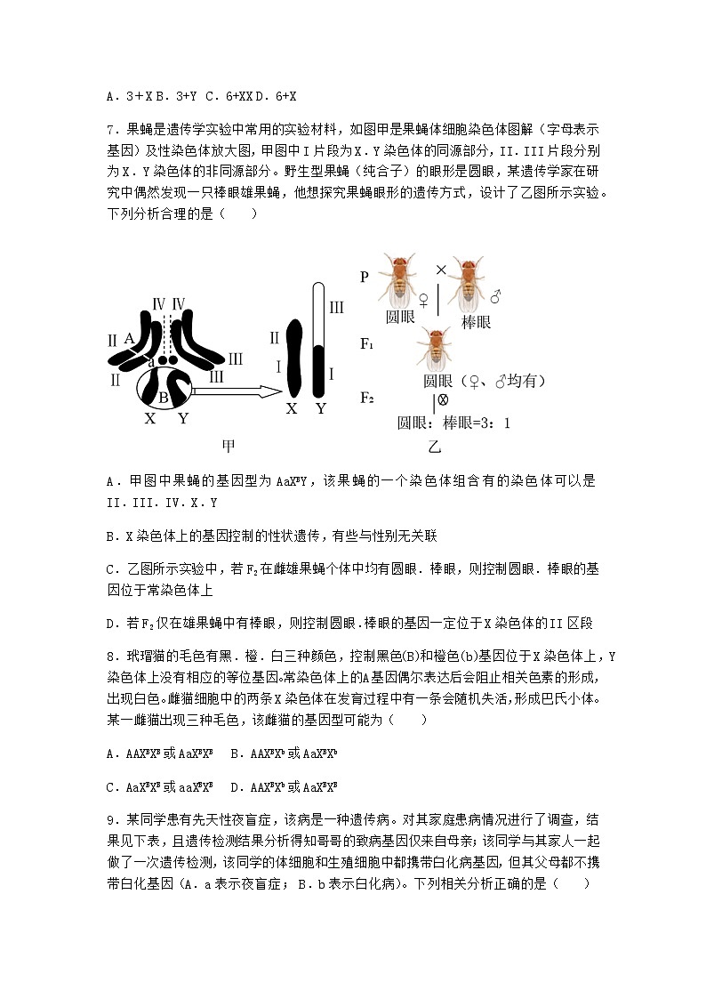 人教版高中生物必修2第3节伴性遗传作业含答案3第3页