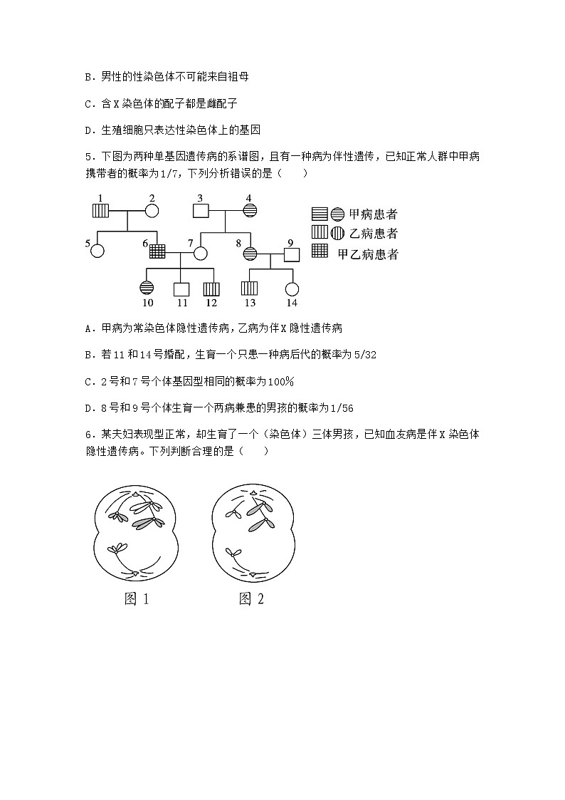 人教版高中生物必修2第3节伴性遗传作业含答案4第2页