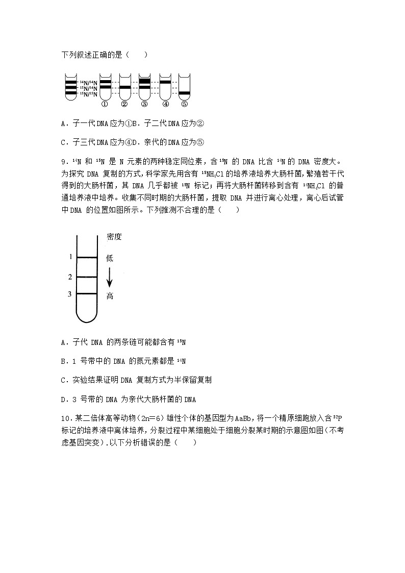 人教版高中生物必修2第3节DNA的复制作业含答案1第3页