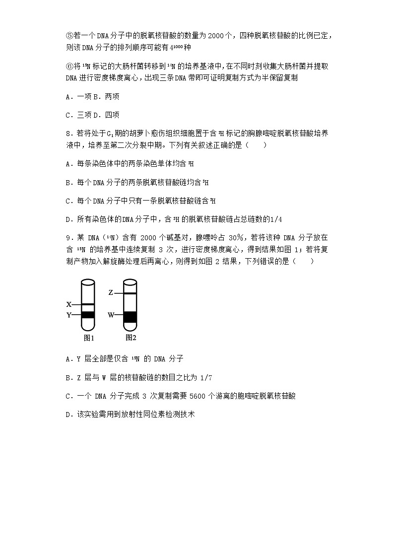 人教版高中生物必修2第3节DNA的复制作业含答案3第3页