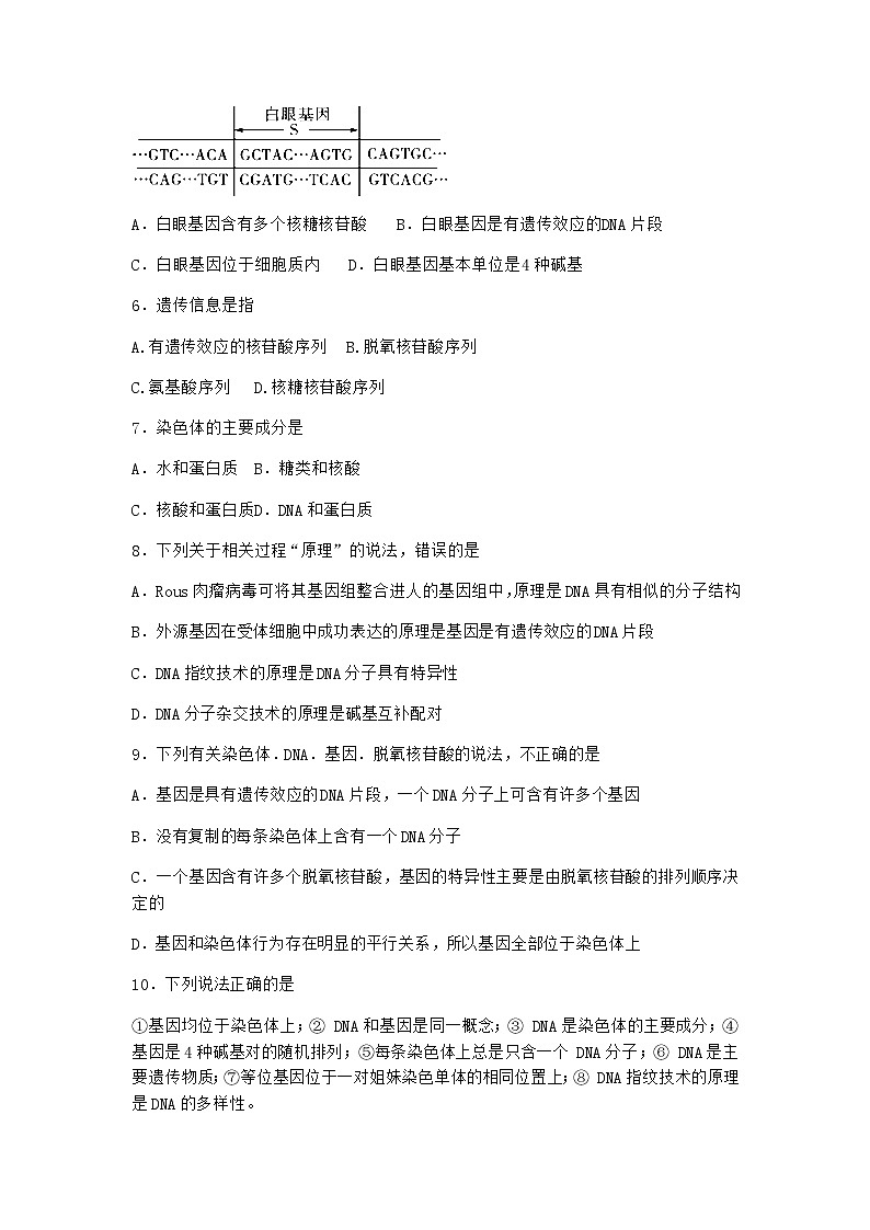 人教版高中生物必修2第4节基因通常是有遗传效应的DNA片段作业含答案3第2页