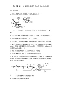 生物必修2《遗传与进化》第1节 基因指导蛋白质的合成同步测试题