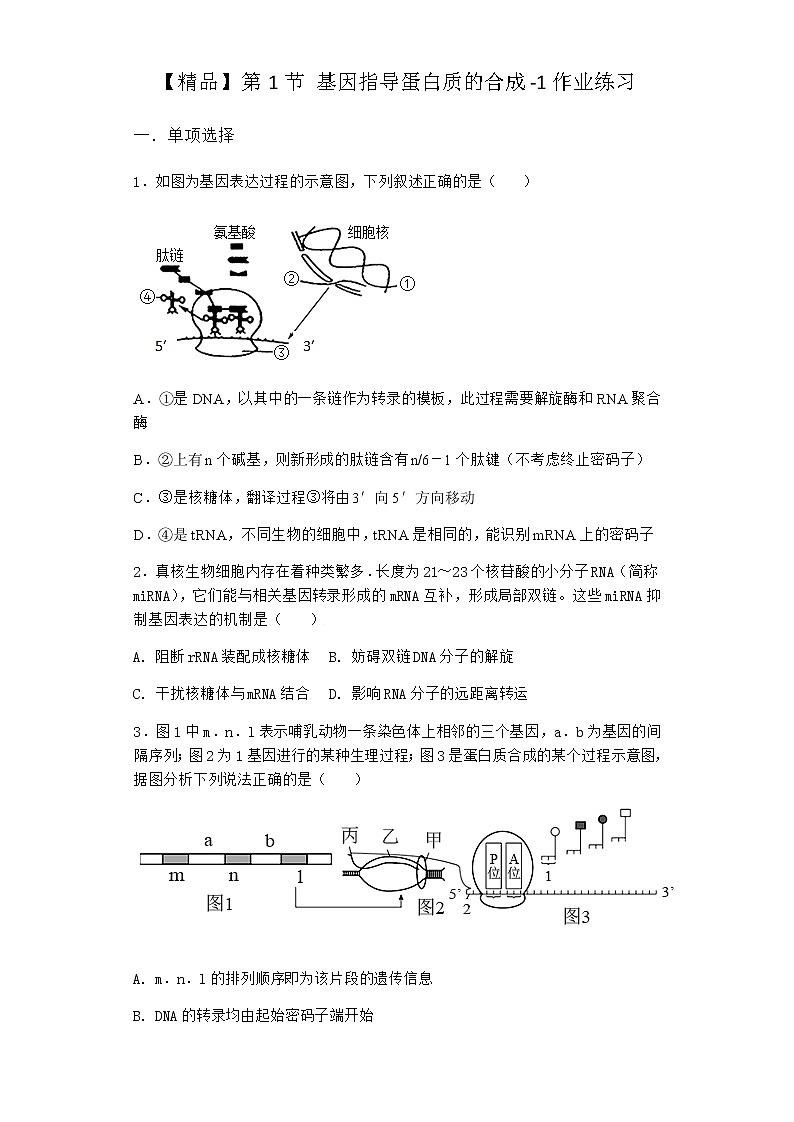 人教版高中生物必修2第1节基因指导蛋白质的合成作业含答案201