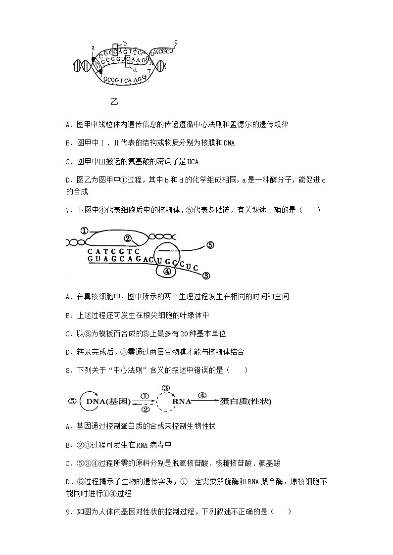 人教版高中生物必修2第1节基因指导蛋白质的合成作业含答案203