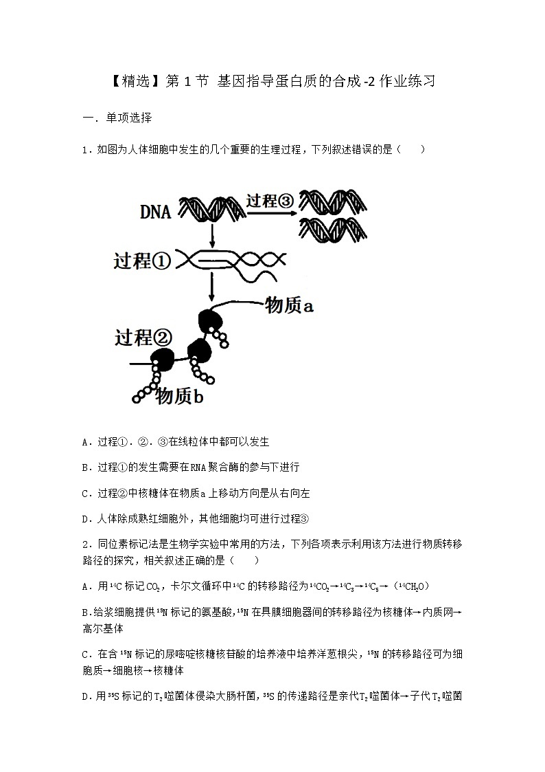 人教版高中生物必修2第1节基因指导蛋白质的合成作业含答案3第1页
