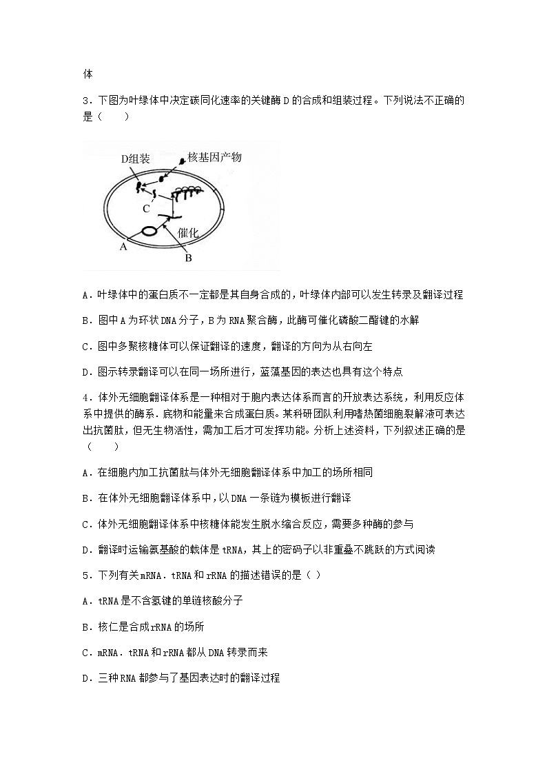 人教版高中生物必修2第1节基因指导蛋白质的合成作业含答案3第2页