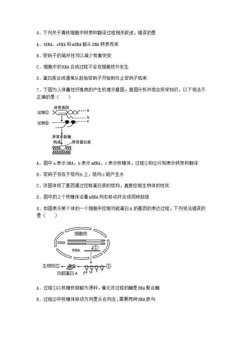 人教版高中生物必修2第1节基因指导蛋白质的合成作业含答案3第3页