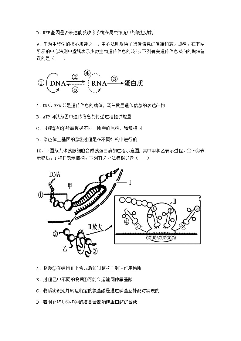 人教版高中生物必修2第1节基因指导蛋白质的合成作业含答案4第3页