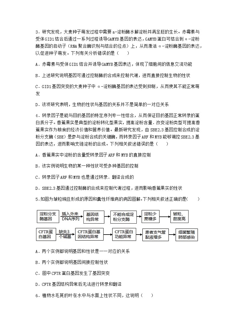 人教版高中生物必修2第2节基因表达与性状的关系作业含答案1第2页