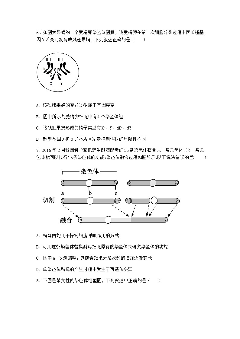 人教版高中生物必修2第2节染色体变异作业含答案102