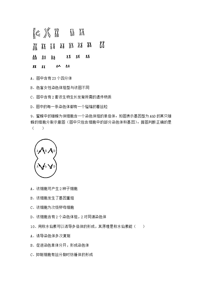人教版高中生物必修2第2节染色体变异作业含答案103