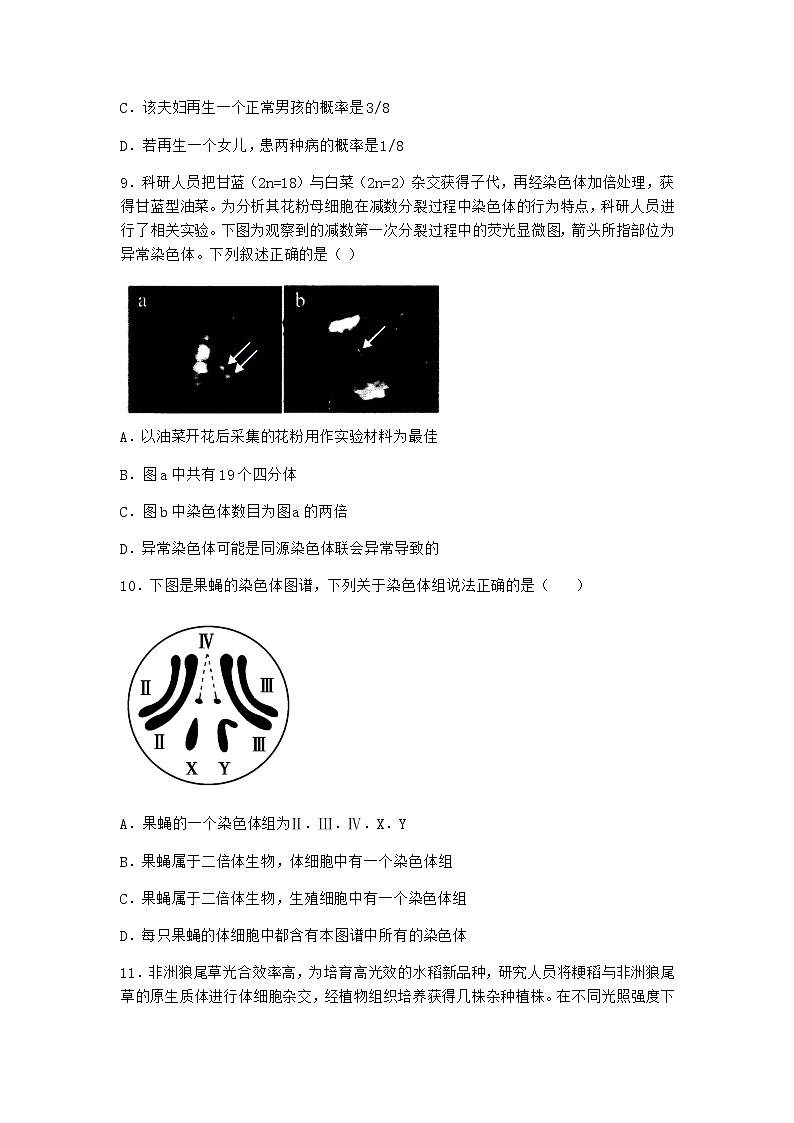 人教版高中生物必修2第2节染色体变异作业含答案4第3页