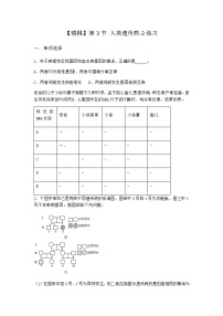 高中生物人教版 (2019)必修2《遗传与进化》第3节 人类遗传病课时作业