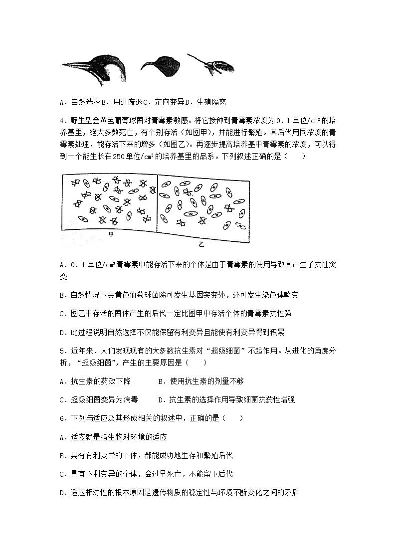 人教版高中生物必修2第2节自然选择与适应的形成作业含答案402