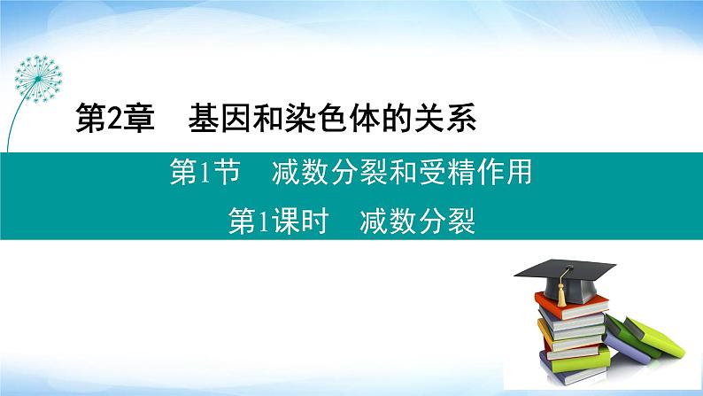 人教版高中生物必修二减数分裂课件01