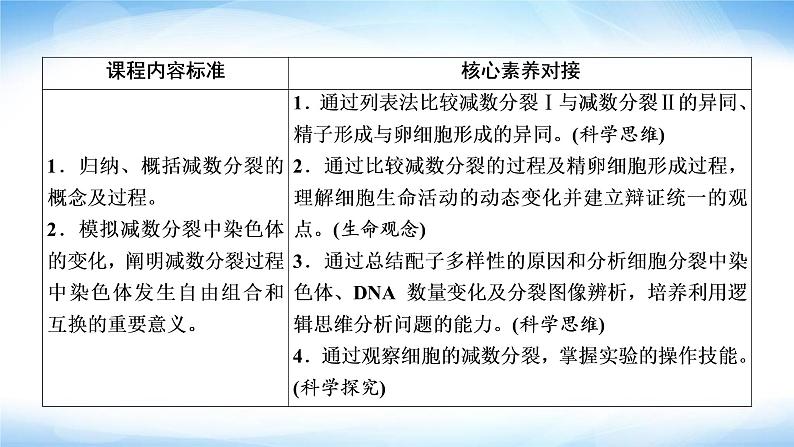 人教版高中生物必修二减数分裂课件03