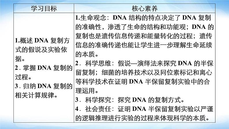 人教版高中生物必修二DNA的复制课件02