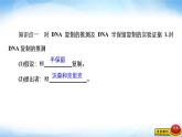 人教版高中生物必修二DNA的复制课件
