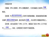 人教版高中生物必修二DNA的复制课件