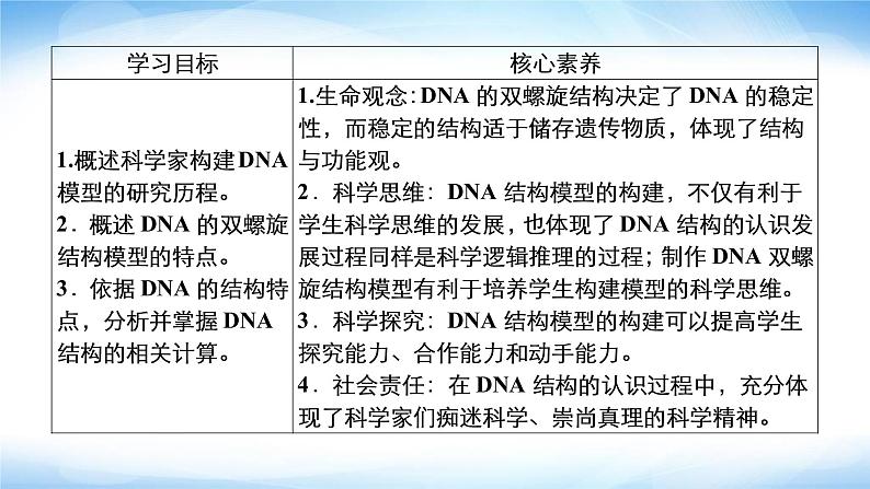 人教版高中生物必修二DNA的结构课件102